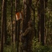 E3B Daytime Land Navigation