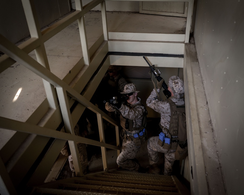 Alpha Co. Conduct MOUT Training