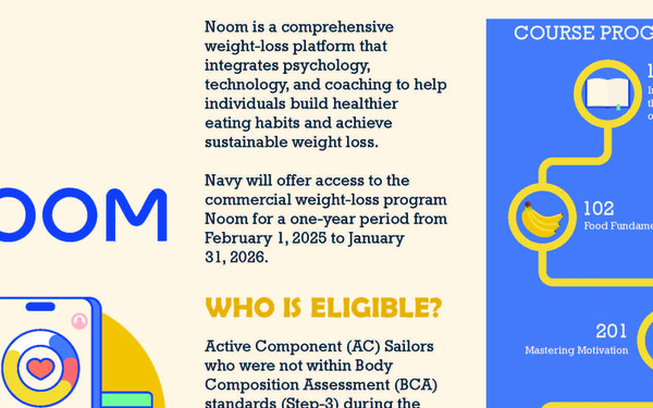 NOOM Graphic