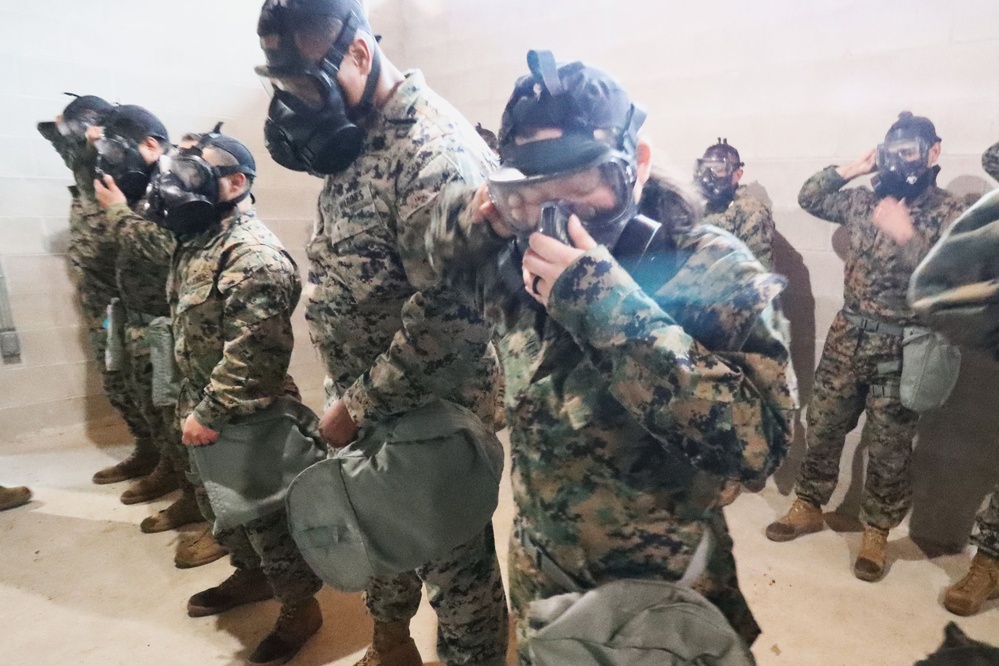 JB MDL- MAG 49 Mask Confidence Training