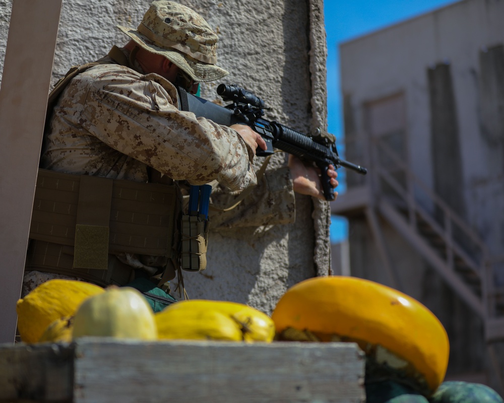 Alpha Co. Conduct MOUT Training