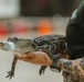 2025 04 26 5th Ranger Training Battalion Open House