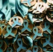 Sexual Assault Awareness and Prevention Month 5K event on DSC Richmond