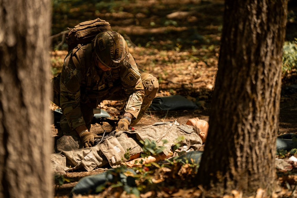 Expert Field Medical Badge Lanes (EFMB)