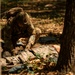Expert Field Medical Badge Lanes (EFMB)