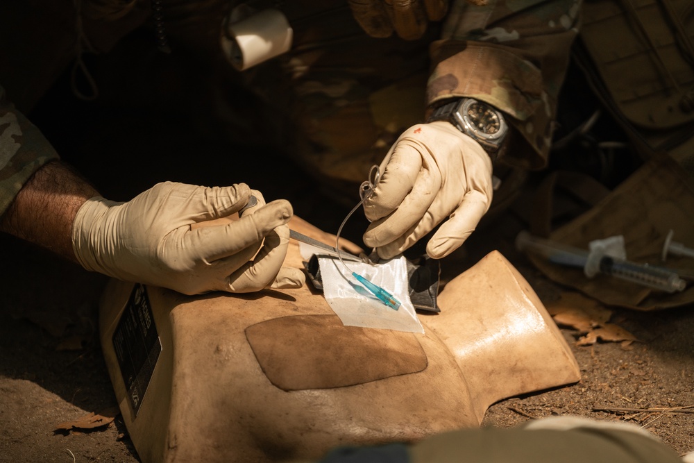 Expert Field Medical Badge Lanes (EFMB)