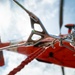 Coast Guard Aid to Navigation Team Honolulu conducts joint op with Air Station Barbers Point