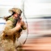 Driving Forward: 91st MSOS participates in the Nuclear Convoy Course 2025
