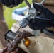 7th ESB EOD Conduct Explosive Ordnance Exploitation Exercise