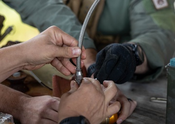 7th ESB EOD Conduct Explosive Ordnance Exploitation Exercise