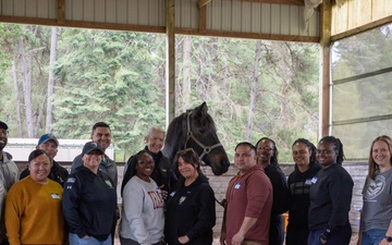 Soldiers from 201st E-MIB THRIVE at Healing Hearts Ranch