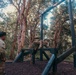 SURT Confidence Course