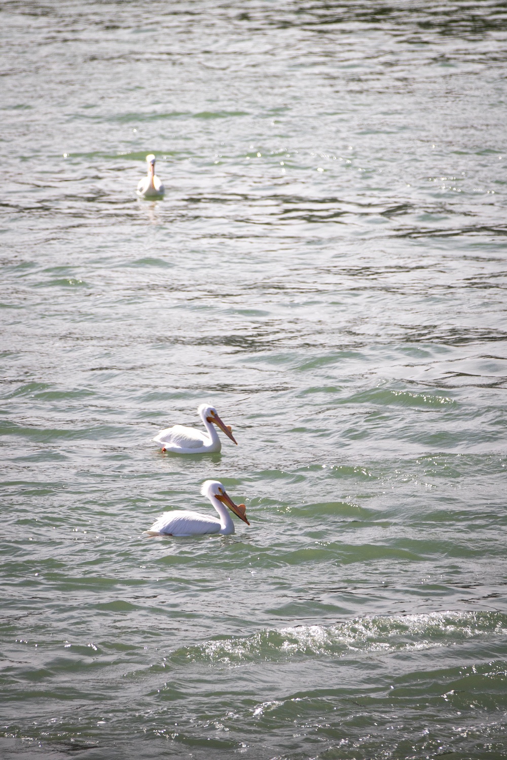 Spring visit to Gavins Point Dam and Powerhouse