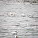 Spring visit to Gavins Point Dam and Powerhouse