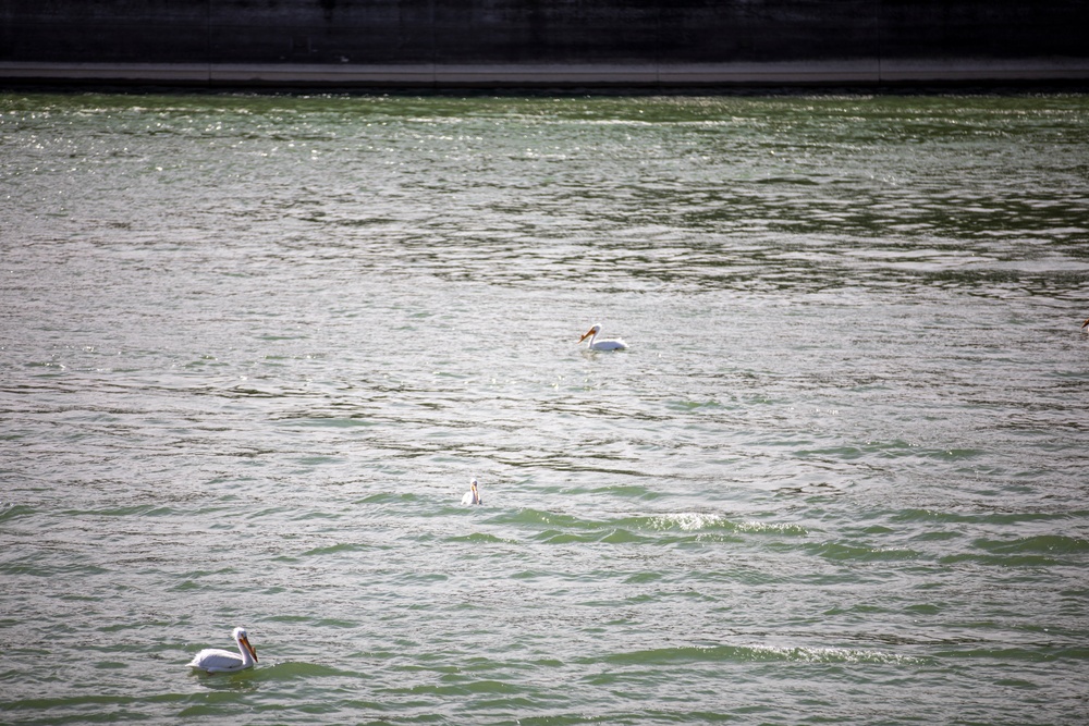 Spring visit to Gavins Point Dam and Powerhouse