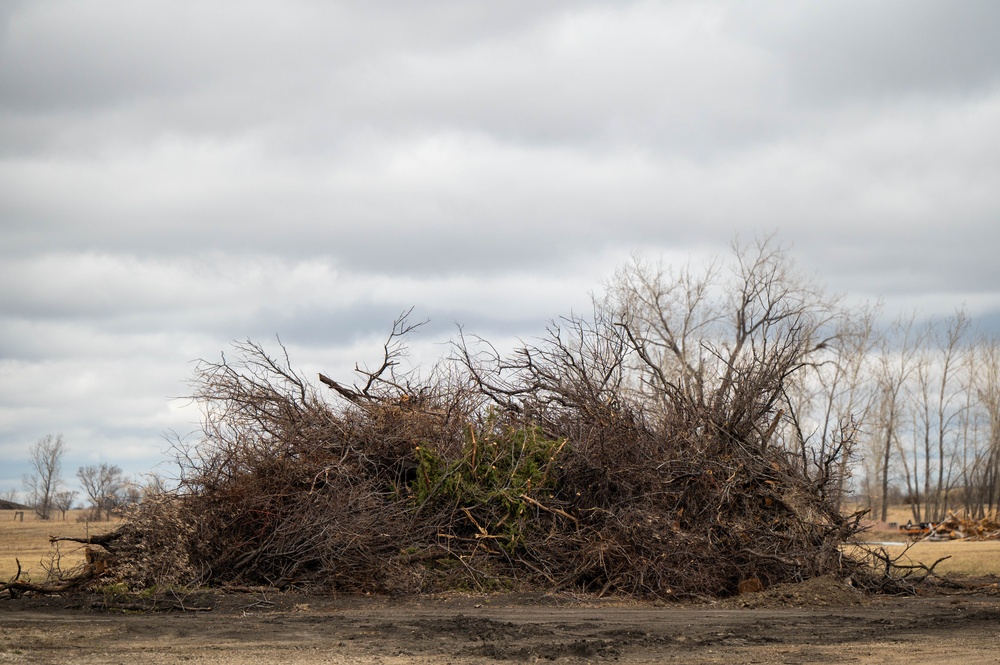 The Wildland Fire Branch: Clearing the Frontlines