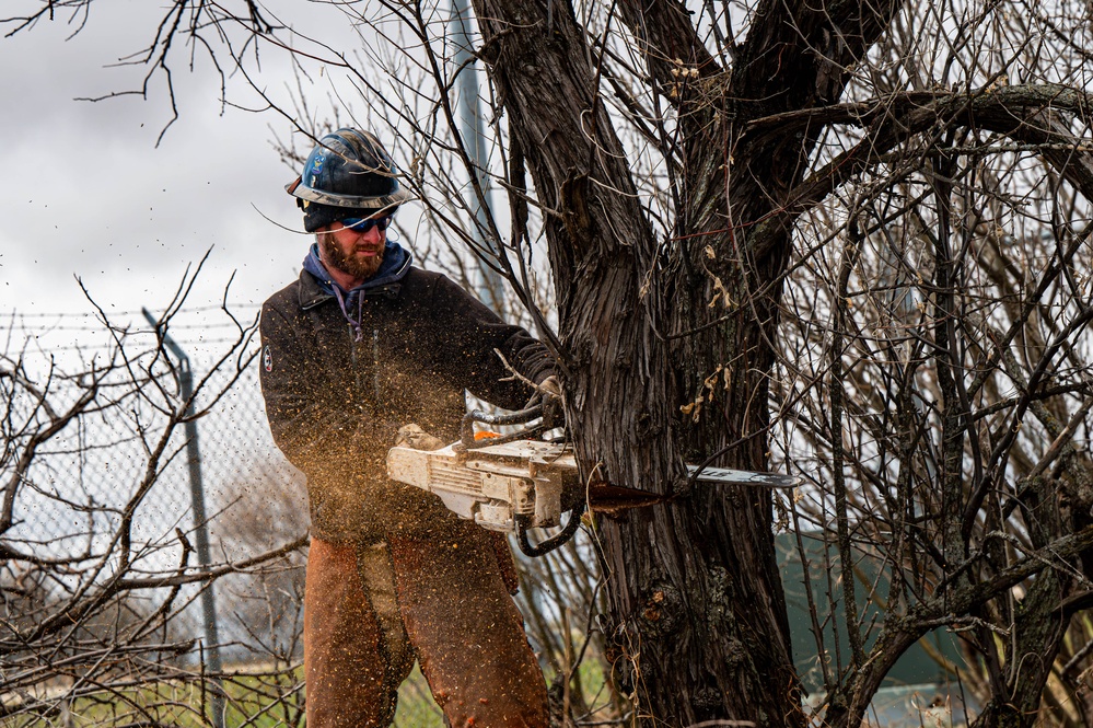 The Wildland Fire Branch: Clearing the Frontlines