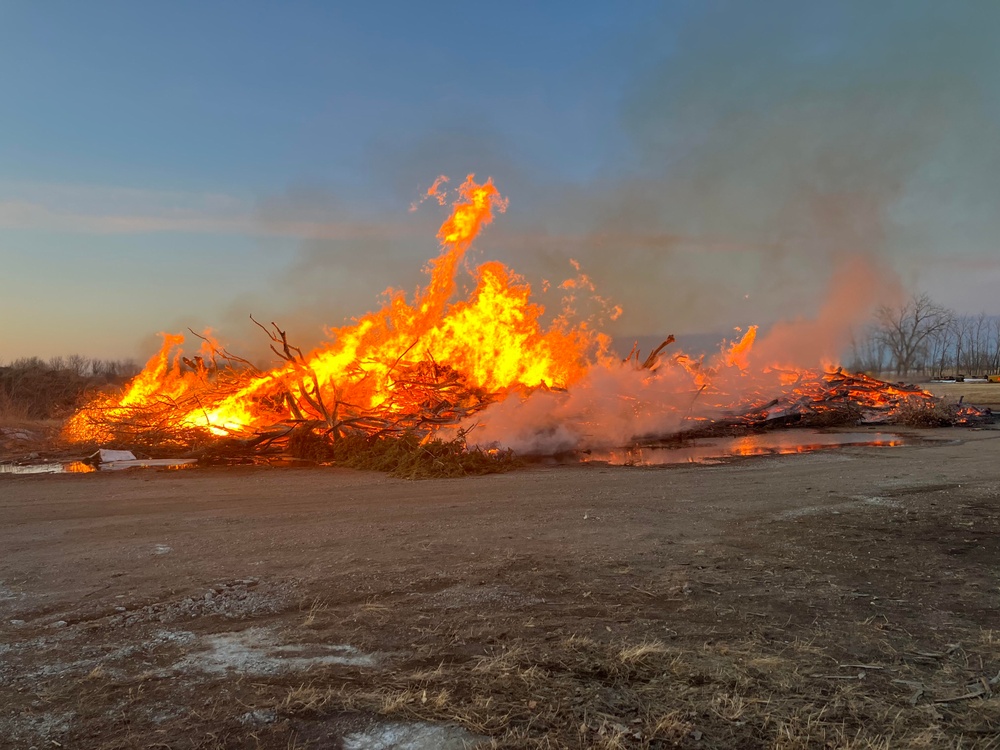 The Wildland Fire Branch: Clearing the Frontlines