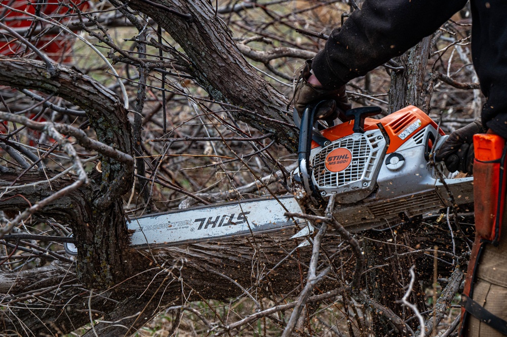 The Wildland Fire Branch: Clearing the Frontlines