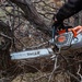The Wildland Fire Branch: Clearing the Frontlines