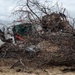 The Wildland Fire Branch: Clearing the Frontlines