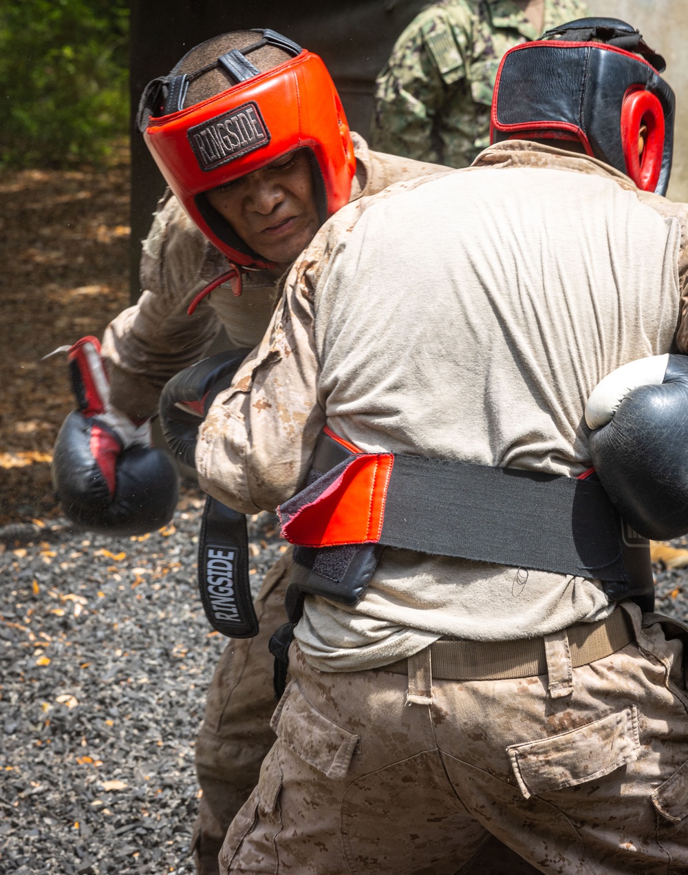 Delta Company Body Sparring