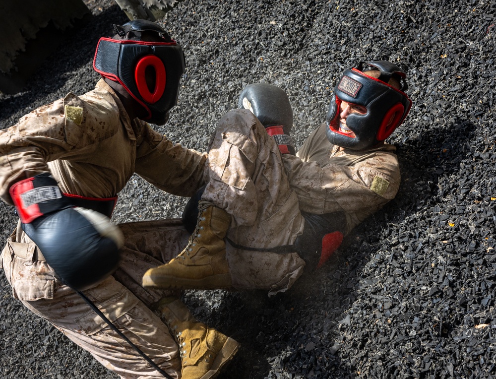 Delta Company Body Sparring