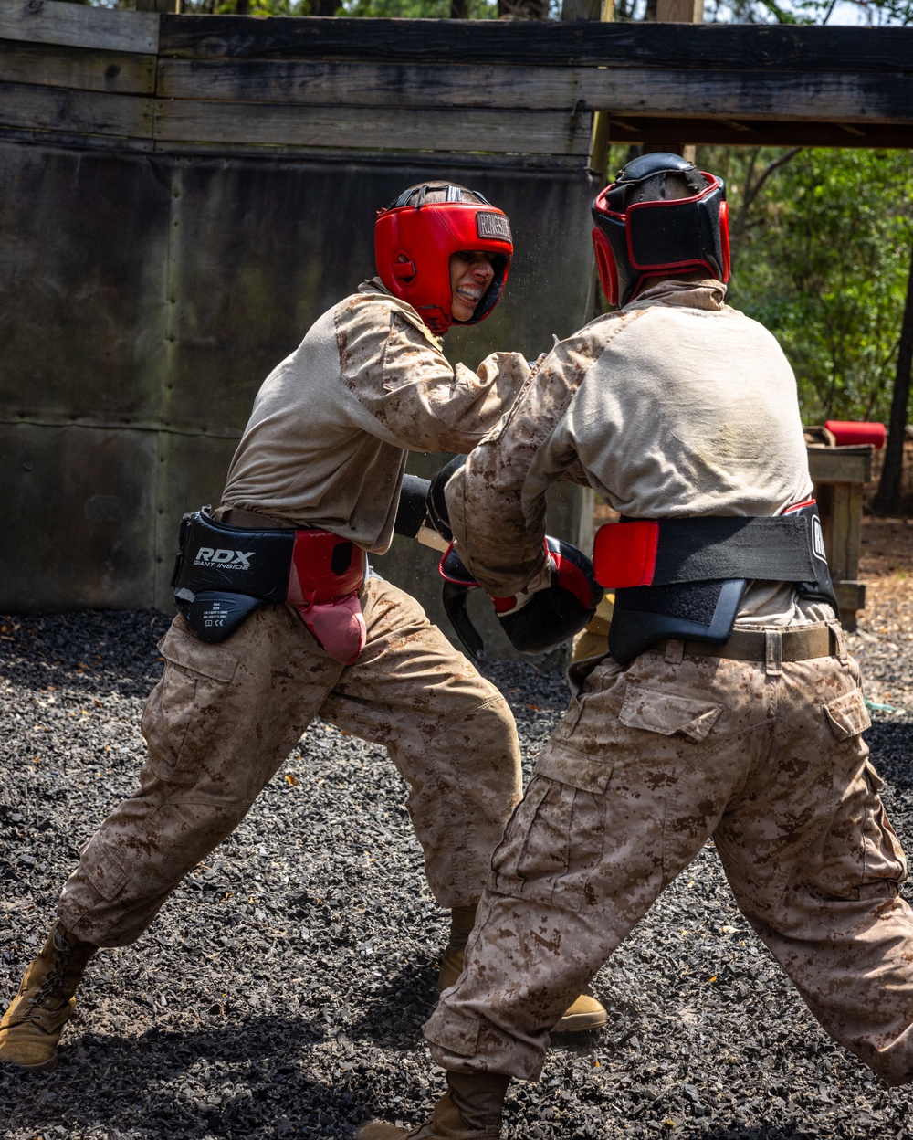 Delta Company Body Sparring