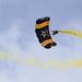 U.S. Army Parachute Team Skydives Into Nissan Stadium For Savannah Bananas Ballgame