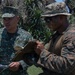 Balikatan 25: U.S. Marines Construct Defensive Positions
