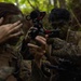 III MEF and MCIPAC COMMSTRAT FTX