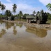 Rice paddy road