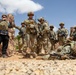 Ground-Level Guidance: U.S. Soldier Coaches Syrian Partners in Tactical Training