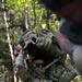 Operation Cowboy: U.S. Soldiers, German &amp; Czech communities hold festival to commemorate unique WWII battle