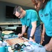 U.S. Army NATO signs proclamation  to combat sexual assault, harassment