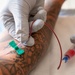 378th EMDS hosts Walking Blood Bank Pre-screening