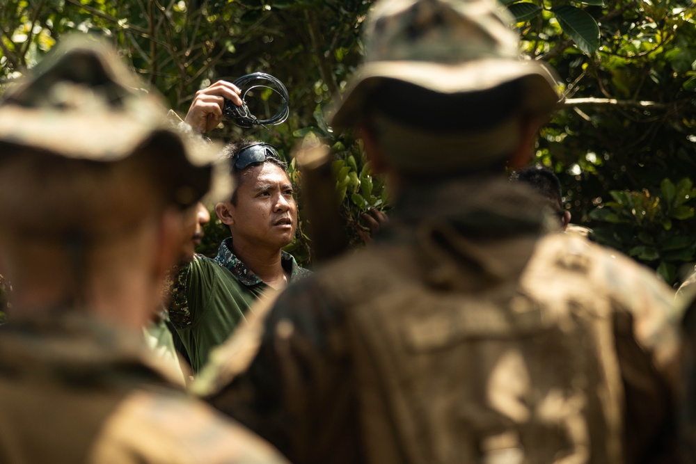 Balikatan 25: 3d LCT Conducts Bilateral Jungle Survival Training with Philippine Marines during MKTSO