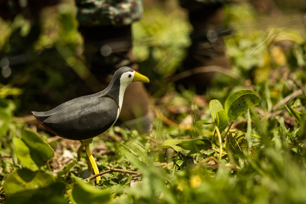 Balikatan 25: 3d LCT Conducts Bilateral Jungle Survival Training with Philippine Marines during MKTSO