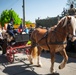 Operation Cowboy: U.S. Soldiers, German &amp; Czech communities hold festival to commemorate unique WWII battle
