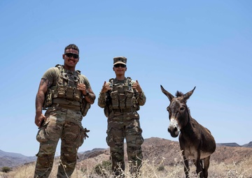 Task Force Associator opens Joint Light Leaders Course to sister services