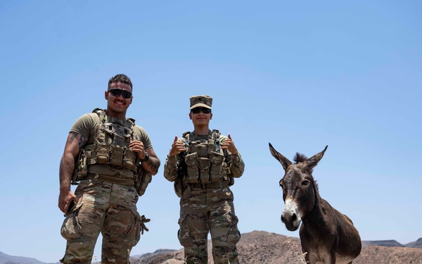 Task Force Associator opens Joint Light Leaders Course to sister services