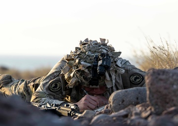 Task Force Associator opens Joint Light Leaders Course to sister services