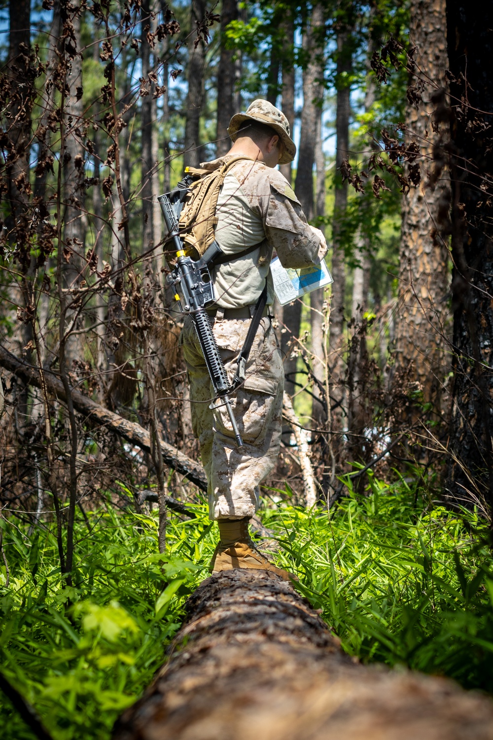 Hotel Company Land Navigation