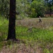 Hotel Company Land Navigation Evaluation