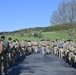 Operation Cowboy: 2CR Soldiers Conduct a Spur Ride Along The Route of Operation Cowboy