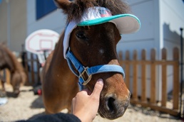 SAPR Awareness Month