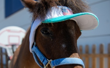 Naval Base San Diego Celebrates SAPR Month with Cakes and Ponies