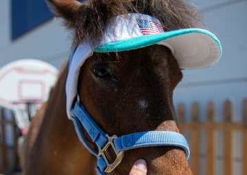 Naval Base San Diego Celebrates SAPR Month with Cakes and Ponies