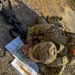 PAD Soldiers Tackle Land Navigation Training at Fort Drum