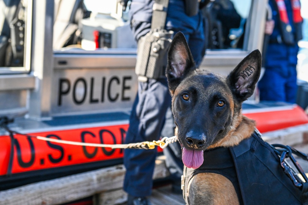 MSST K9 Hoist